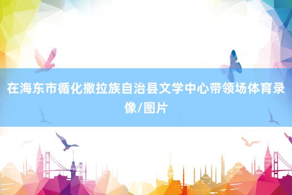 在海东市循化撒拉族自治县文学中心带领场体育录像/图片