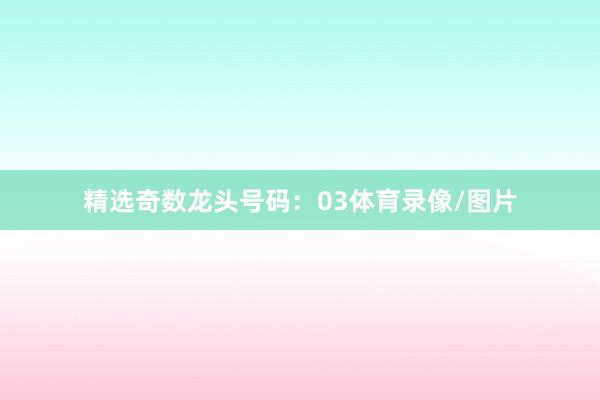 精选奇数龙头号码：03体育录像/图片