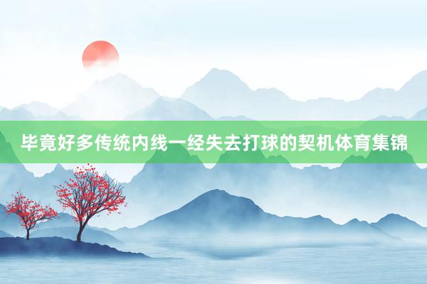 毕竟好多传统内线一经失去打球的契机体育集锦