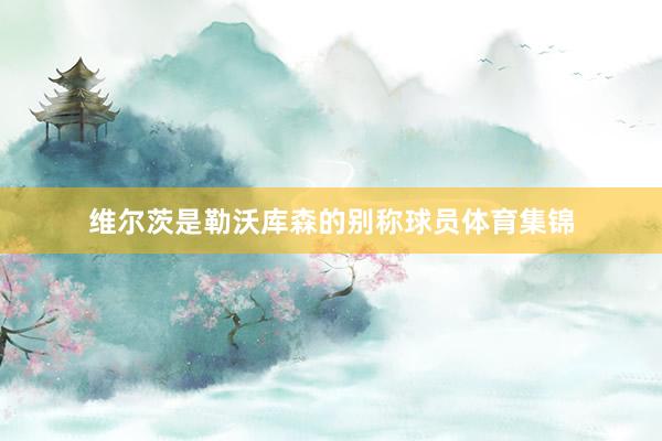 维尔茨是勒沃库森的别称球员体育集锦
