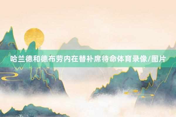 哈兰德和德布劳内在替补席待命体育录像/图片