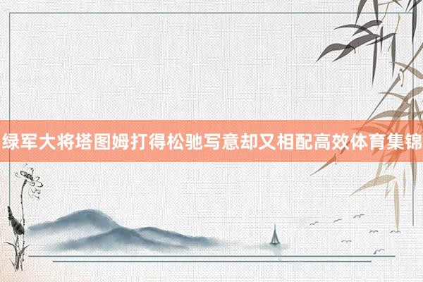 绿军大将塔图姆打得松驰写意却又相配高效体育集锦