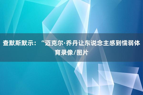 查默斯默示：“迈克尔·乔丹让东说念主感到懦弱体育录像/图片